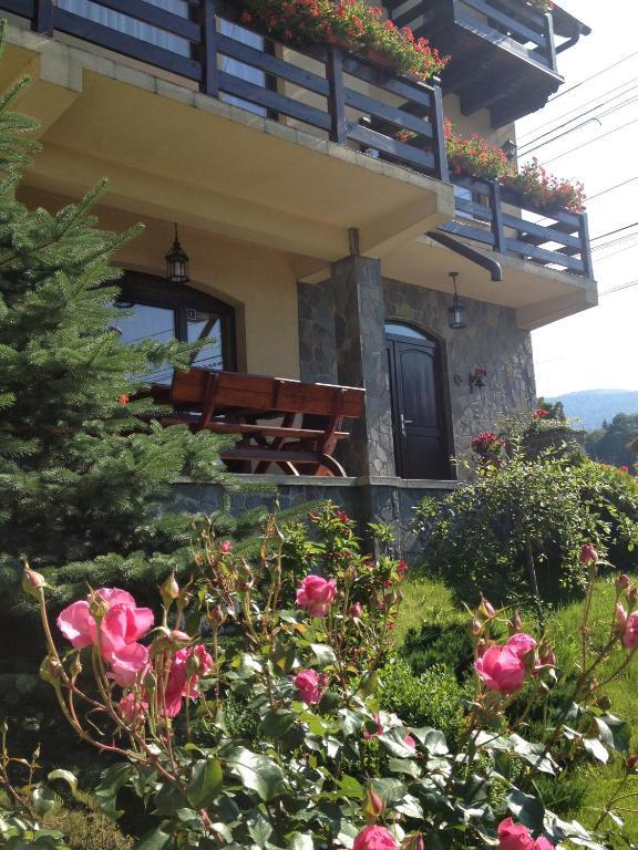 Pension Casa Ali & Andu بوستين المظهر الخارجي الصورة